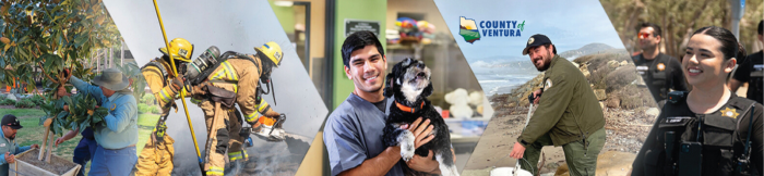 Director of Behavioral Health & Public Guardian